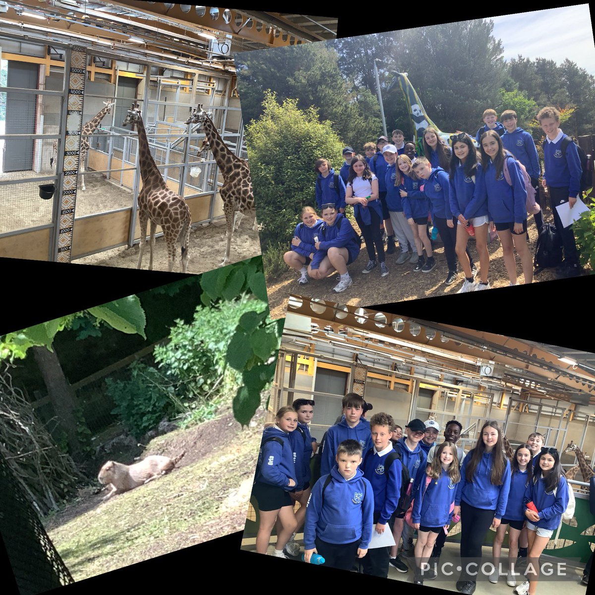 DeanburnPS P7A tweet media