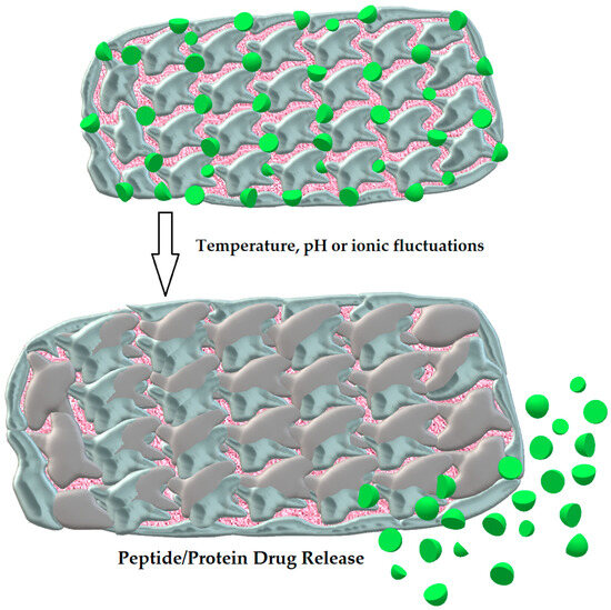 IJMS_MDPI's tweet photo. 🌟#MostViewedPaper
📚The Current and Promising Oral Delivery Methods for Protein- and Peptide-Based Drugws
🧑🔬By Dr. Michał Nicze, Prof. Łukasz Bułdak, et al.
🔗https://t.co/YpyD8mv5qw
#peptide #protein #drug #drugdelivery #openaccess #mdpi #mdpiijms https://t.co/2esVNsRhZH