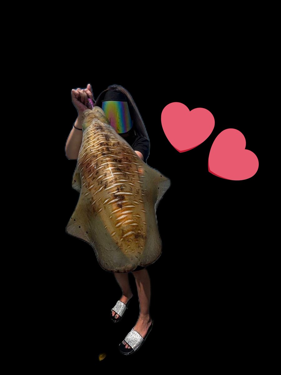 n_elfi_r's tweet image. アオリイカ3.1kg🫶
めっちゃひいたしうれしっ🫶
自己新記録🥺