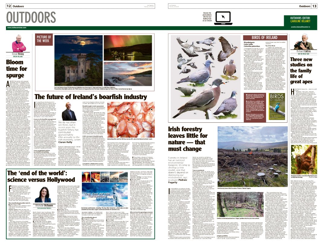 CarDelaney's tweet image. exa.mn/t7z
‣ Spurge &amp;amp;  fishing
‣ 3 groundbreaking ape studies
‣ Future of boarfish industry
‣ Armageddon — movies vs science
‣ Irish forestry future
‣ woodpigeon #birdsofireland
📷 East Cork Camera Group exhibition
@RushyMountain
@palaeo_mich
@whittledaway