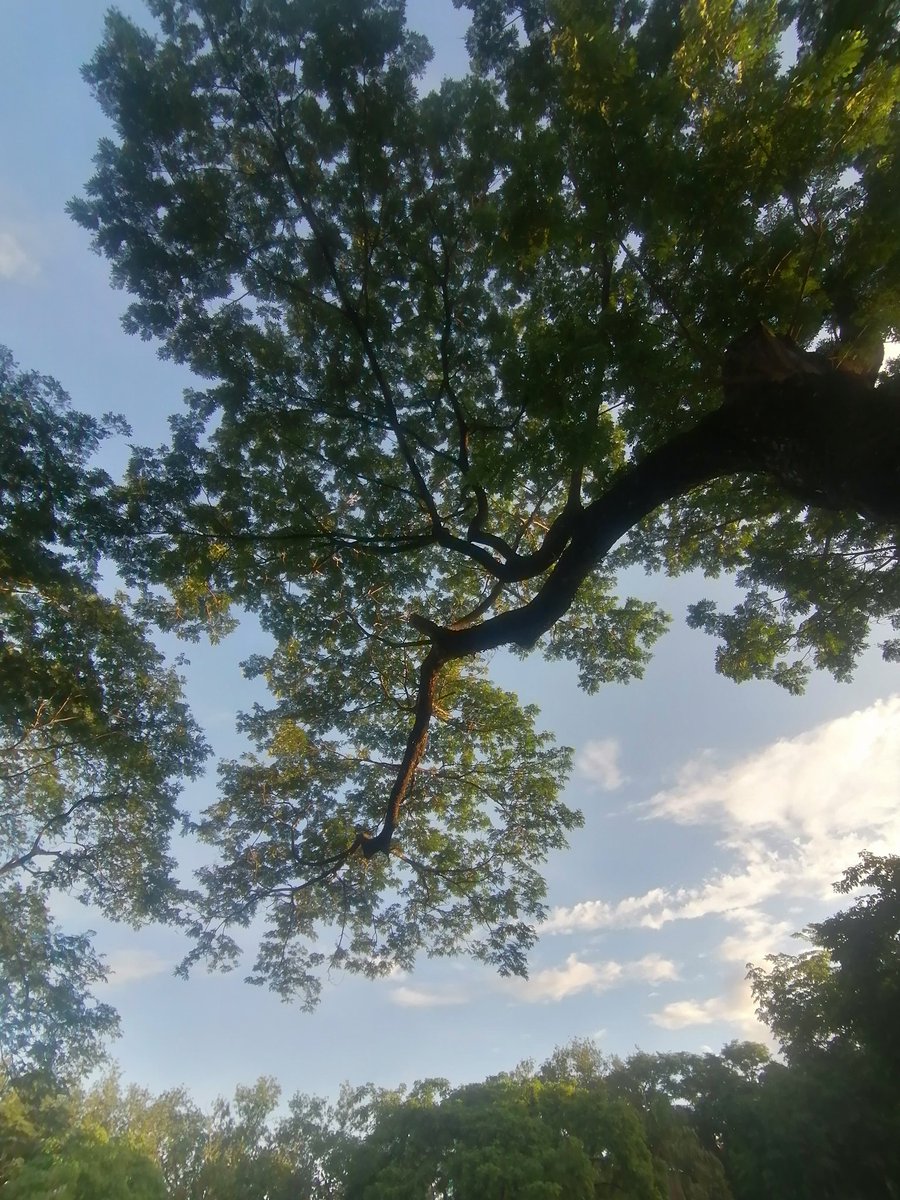 Archie Aruejo tweet media