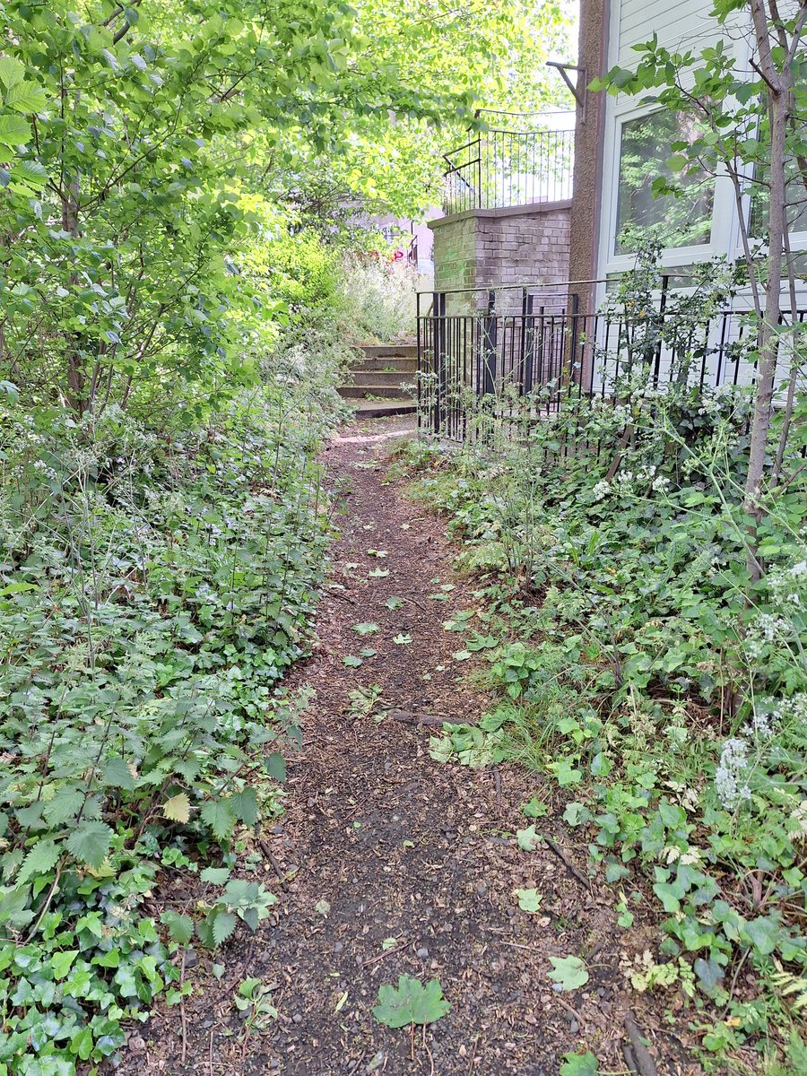 WOLCT's tweet image. A volunteer morning ahead down at Redbraes. 

We'll be hunting the invasive Giant Hogweed and Himalayan balsam on the river banks. Trimming back path edges and litter picking locally.

#MondayMotivation @Edinburgh_CC #inns