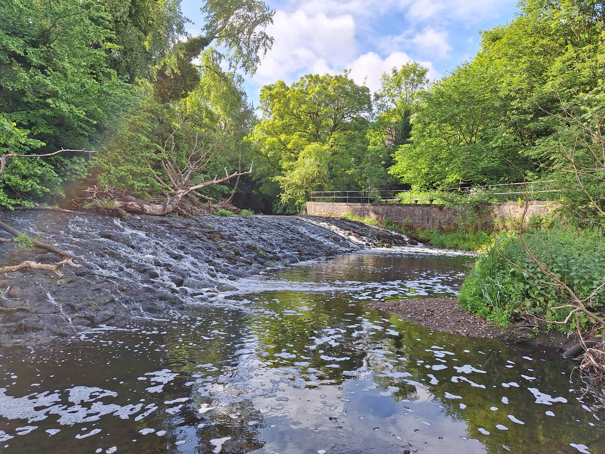 WOLCT's tweet image. A volunteer morning ahead down at Redbraes. 

We'll be hunting the invasive Giant Hogweed and Himalayan balsam on the river banks. Trimming back path edges and litter picking locally.

#MondayMotivation @Edinburgh_CC #inns