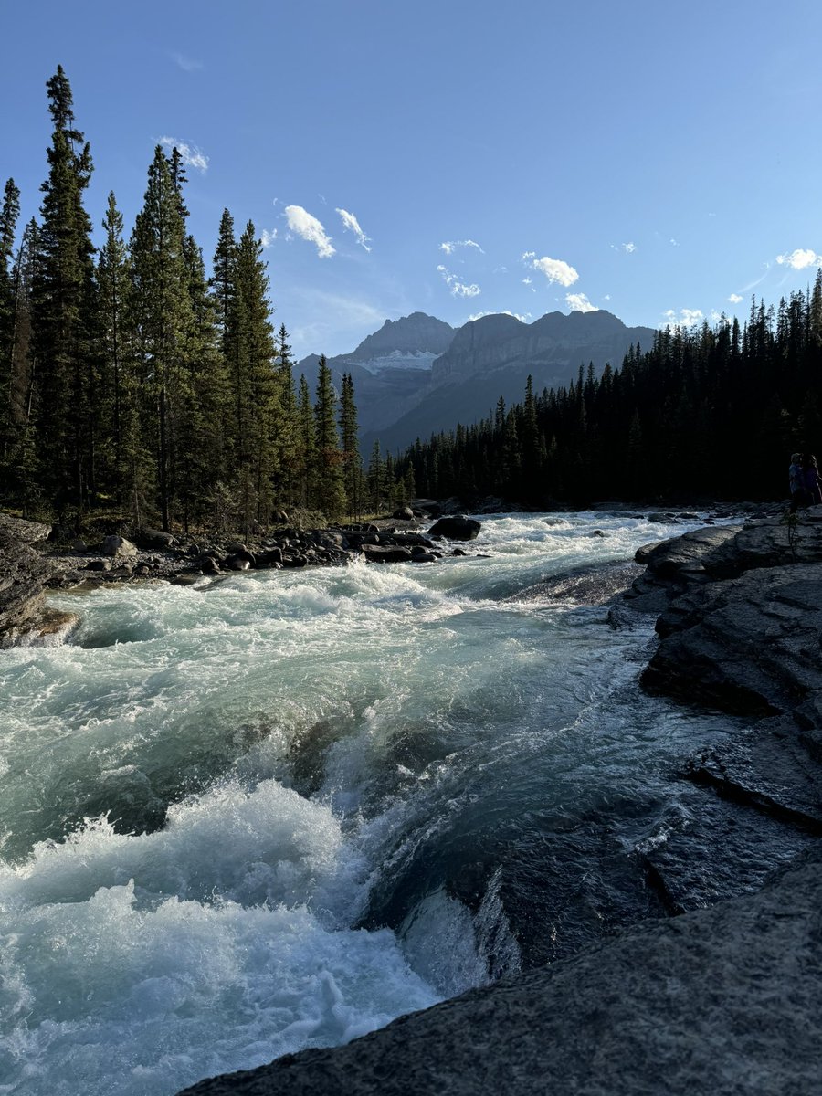 jackli202206's tweet image. the onrushing Mistaya River (in Canadian Rockies) in August