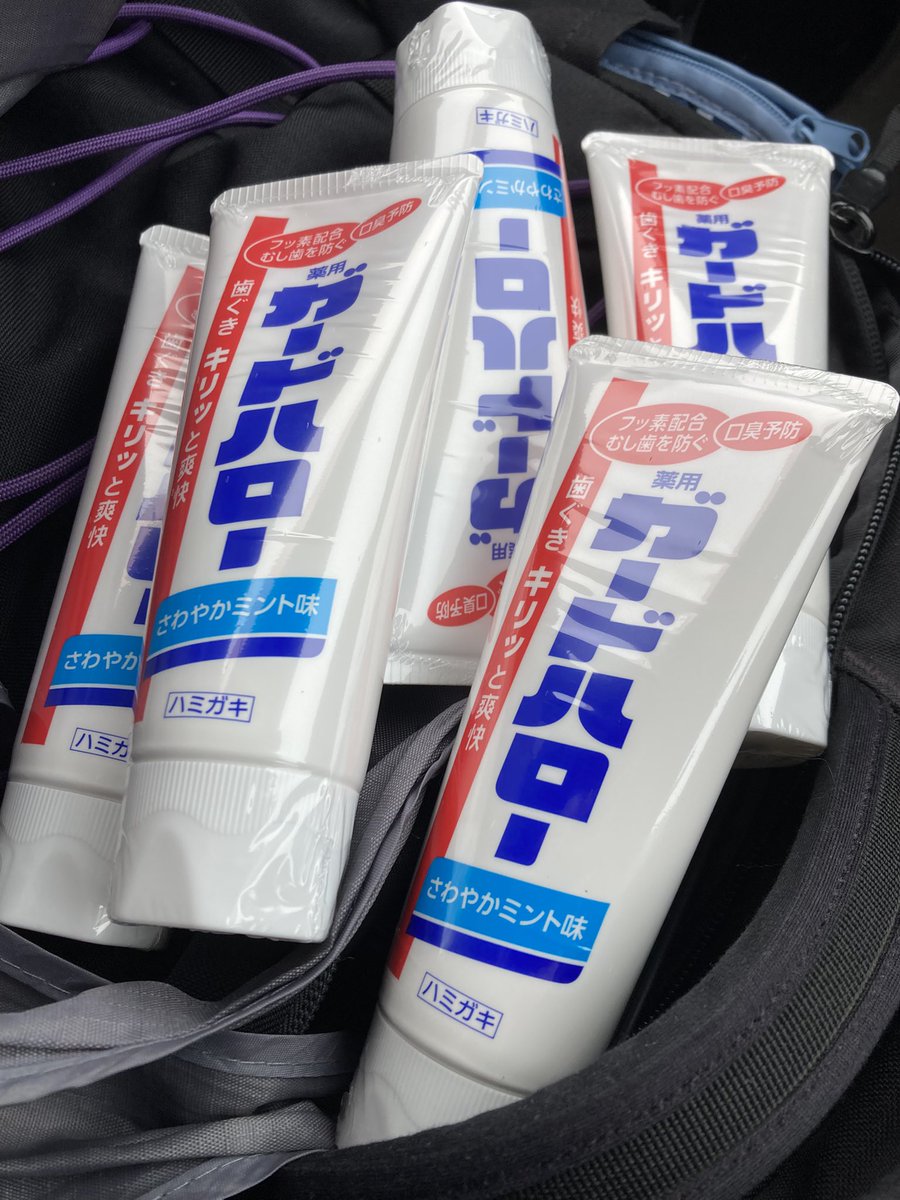 活動歴および当時の関連ビジュアル記録