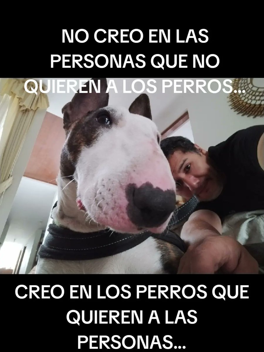 EPORRASCERRON's tweet photo. #destacar https://t.co/ecmCltkbMe