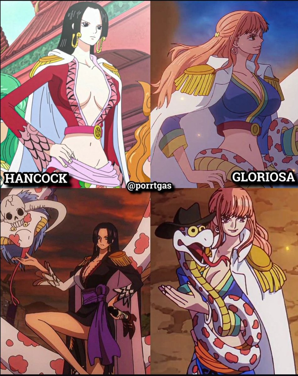 One Piece Daily tweet media