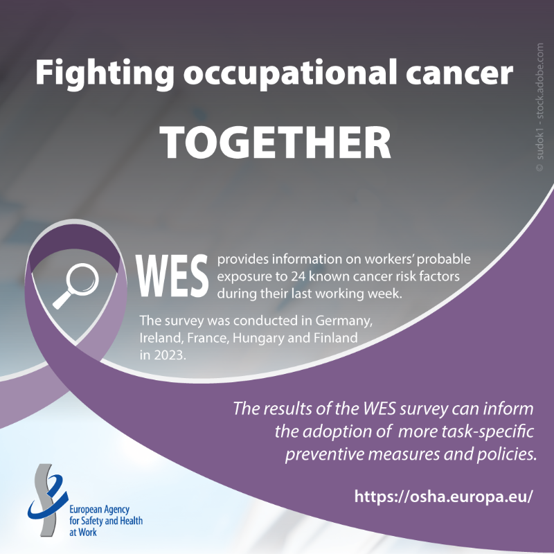 EU_OSHA's tweet photo. New data highlights cancer risk exposure in #HealthAndSocial care.

29.5% of workers were likely exposed to at least one cancer risk factor
7.8% to two or more

Our WES report reveals who is at risk and why prevention matters.

https://t.co/2mSdLl3Uce

 #EWAC2025 #BeatCancer