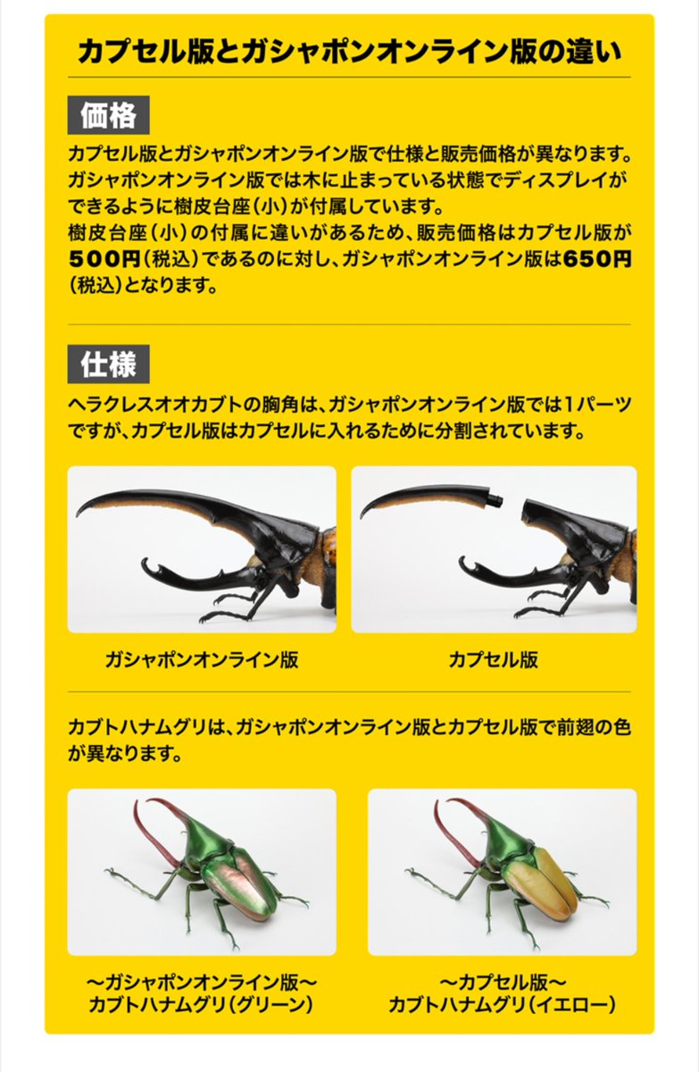 ボールチャンネル(新) on X