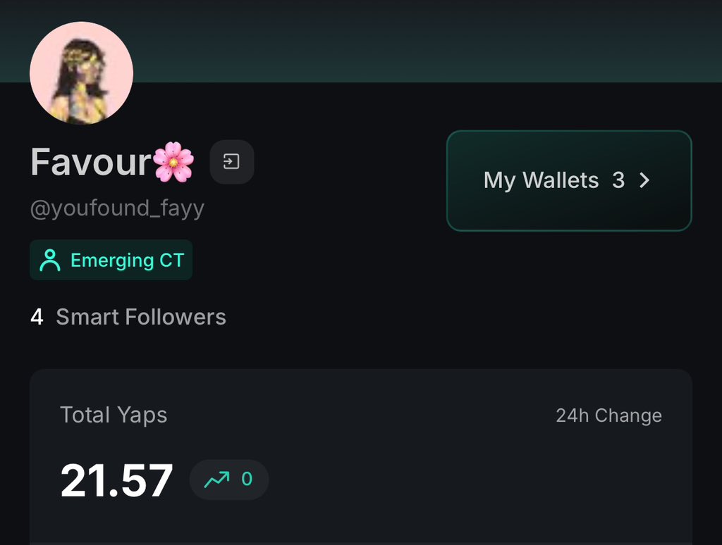 youfound_fayy's tweet image. Every Yap was gotten from yapping about @SuccinctLabs.
I’m proud to be a prover.
Gprove to those that Gprove 🩷