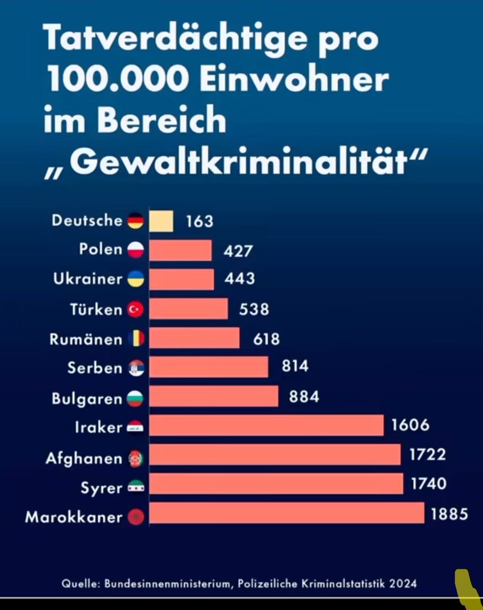 Systemsprenger tweet media