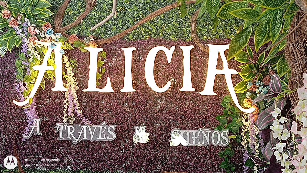 Expo #aliciaatravésdelossueños en #Guadalajara 
.
#Jalisco #viajar #México #paseo #turismo #quéver #conocemexico #jaliscomexico #jaliscoesméxico