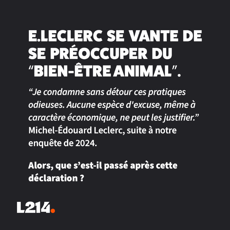 L214's tweet photo. Mutilations, truies encagées, animaux élevés au-dessus de leurs déjections… Voilà ce qui se cache derrière @Leclerc.

Et que fait l’enseigne? Absolument rien!
Tout cela doit cesser! 
Interpellez Leclerc pour qu’ils agissent pour les cochons 
➡️ https://t.co/QJ3gPdAiy3