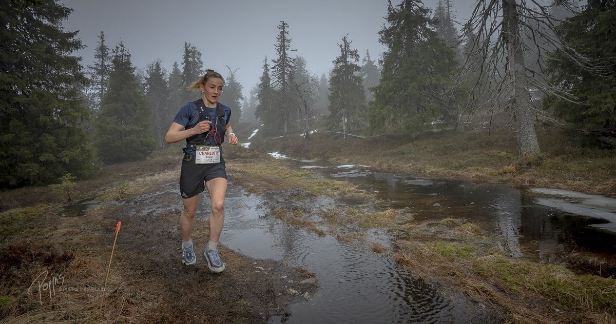 nutsfi's tweet image. Enempiä höpöttelemättä: NUTS Karhunkierros 2025 -kuvat on nyt galleriassa!
📸 ➡️ nuts.kuvat.fi/kuvat/NUTS+Kar…

Kiitos kuvaajille: Rami Valonen, Poppi Suomela ja Simo Vilhunen – taltioitte tunnelman timmisti! 🙌

#NUTSKarhunkierros #trailrunning #polkujuoksu #karhunkierros #nutsfi