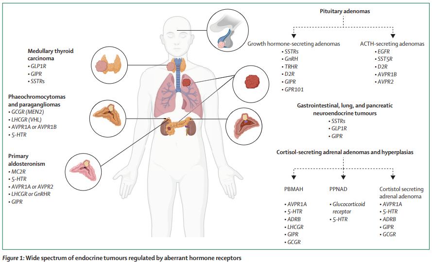 Aberrant hormone receptors regulate a wide spectrum of endocrine tumours thelancet.com/journals/landi… 
#GPCRs