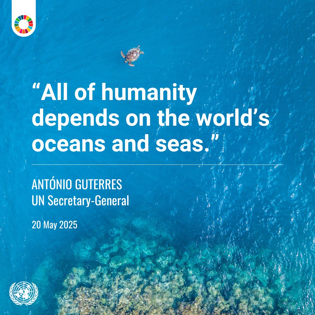 United Nations (@un) on Twitter photo “All of humanity depends on the world’s oceans and seas.”
— <a href="/antonioguterres/">António Guterres</a> on the urgent need to #SaveOurOcean.
More ahead of June’s UN Ocean Conference: sdgs.un.org/conferences/oc… “All of humanity depends on the world’s oceans and seas.”
— <a href="/antonioguterres/">António Guterres</a> on the urgent need to #SaveOurOcean.
More ahead of June’s UN Ocean Conference: sdgs.un.org/conferences/oc…