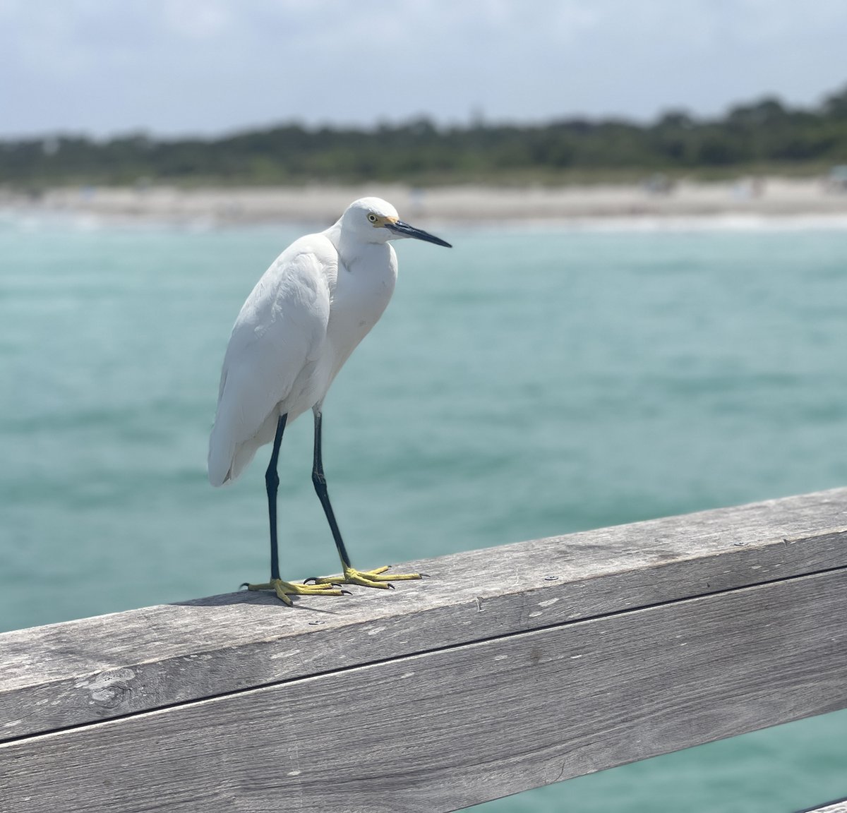 VI_Creative's tweet image. BANK HOLIDAY VIBES 🏖️

To all the…
🎶 Music lovers
🛠️ DIY pros
🌸 Green-fingered gardeners
🚗 Petrol heads
🔥 BBQ legends
🏄‍♂️ Sunseekers
🎒 Hikers
🎨 Artists &amp;amp; makers

Make this one count. Do long weekends your way 😎

#BankHolidayVibes #CreativeLives #TeamVI #InspoEverywhere