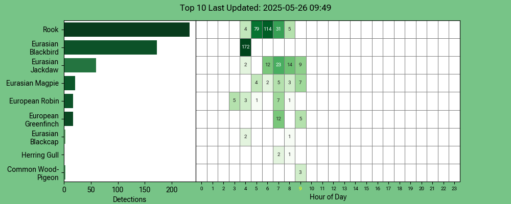 MichaelHowland1's tweet image. #BirdNET-Pi @Raspberry_Pi - #Robin on its own leading the #dawnchorus today...
app.birdweather.com 
@ManxBirdLife @manxnature @BTO_GBW @Natures_Voice #BiosphereIOM #wildlife #isleofman #ManxNature #TeamWilder