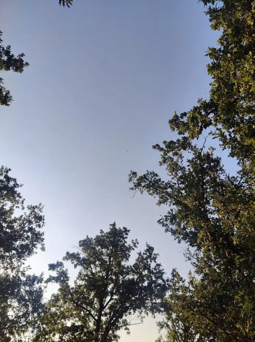 Sometimes we find photos like this while updating training material. 😐💭
Did we try to capture a drone? A bird? Existential dread?
Either way: Always look up. Situational awareness isn’t just about the ground.
What do you think we were trying to capture here? 🤔