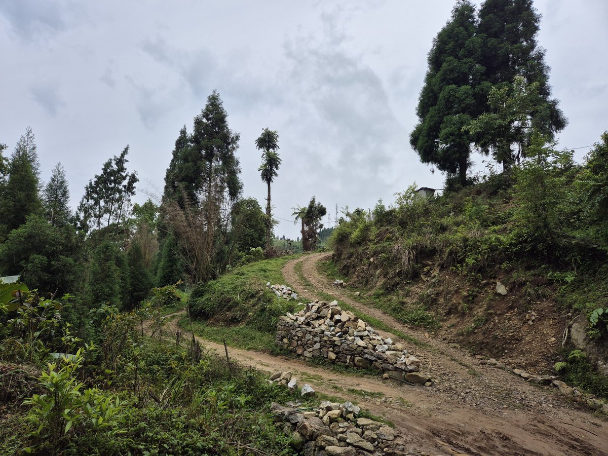 bhadradebabrata's tweet photo. #charkhole amidst nature: pristine surreal https://t.co/m3KhwyyDUz