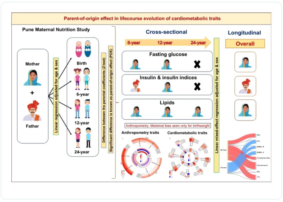Up front &amp; free to read in our June issue #editorspicks: Parent-of-origin effects in the life-course evolution of cardiometabolic traits link.springer.com/article/10.100…