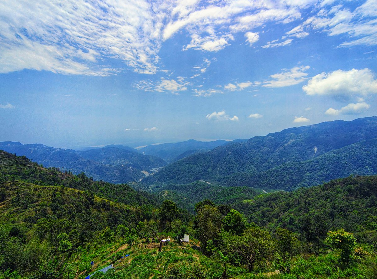 oshanlepcha's tweet photo. https://t.co/VGWNF7lzIa