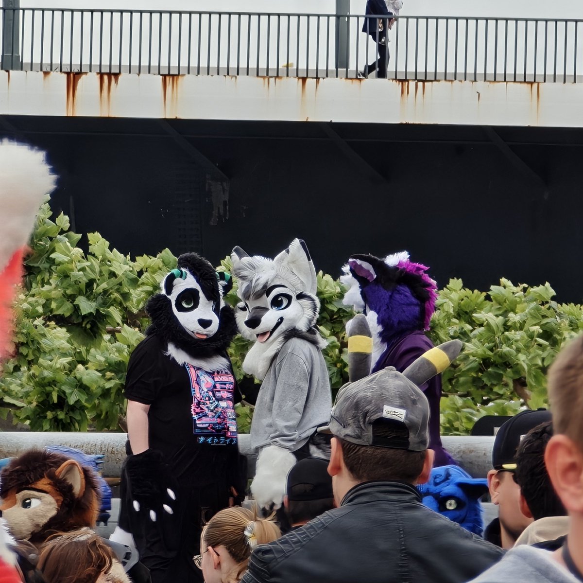 Most iconic picture from me on the #japantag2025 
#furry #fursuit #FursuitEverday