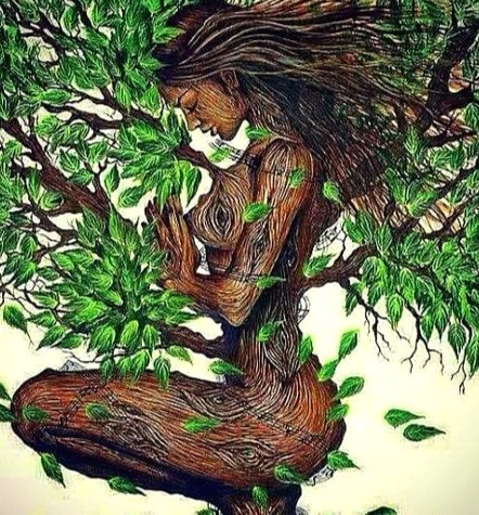 sanjaraic1's tweet photo. she's tree of verse
winds pass
hands reach

she remains
shaping herself
at the edge
of knowing

fruit forms
as it wills
both nectar &amp; gall
#wayfarers find rest
in her shade
#predators pay high cost
of their hunger

she grows
by the fracture
she carries within

#vss365 #OurPoetryX https://t.co/gHPUuY4MAY