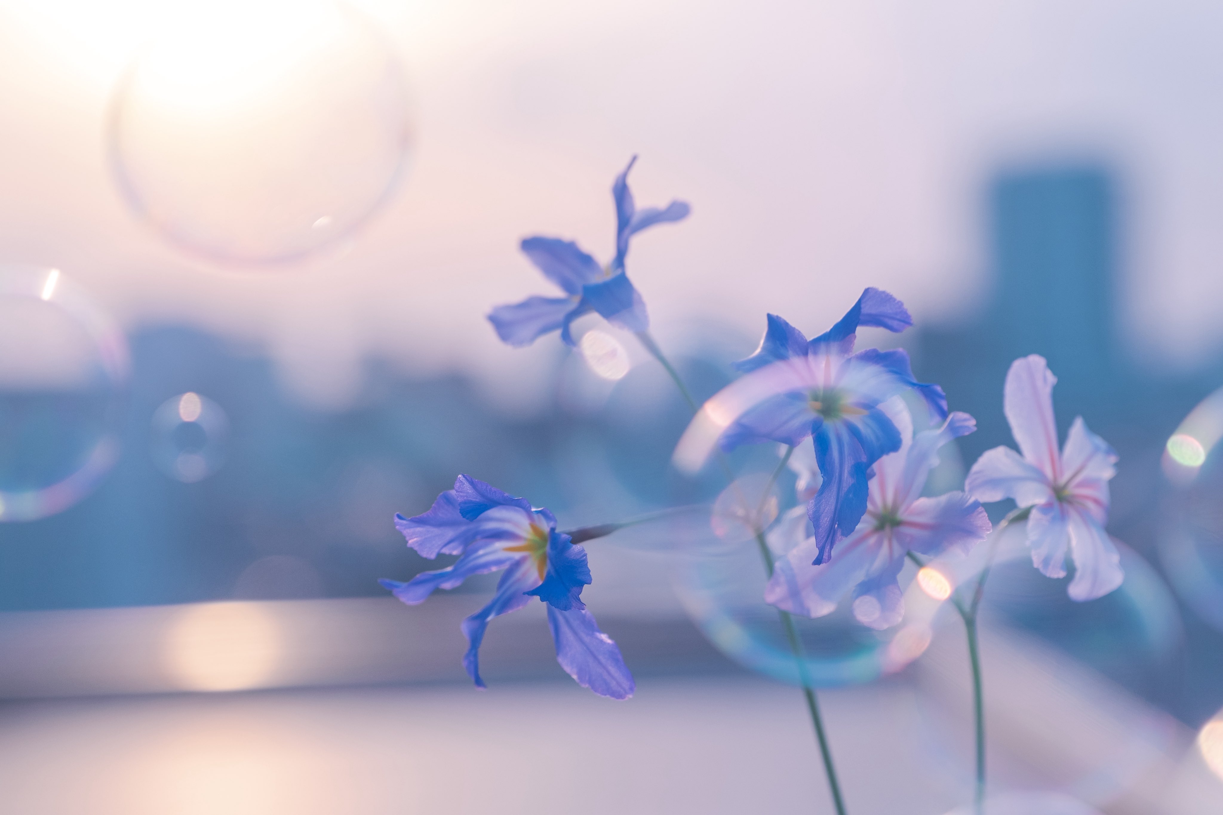 𝓨𝓪𝓼 ☽ ✳︎ (@0_skyblue) / X