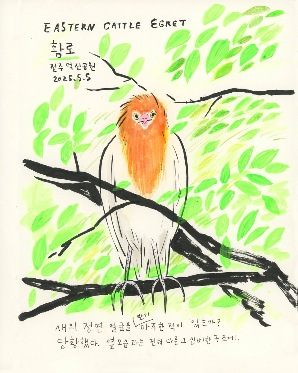 Yeji Yun tweet media