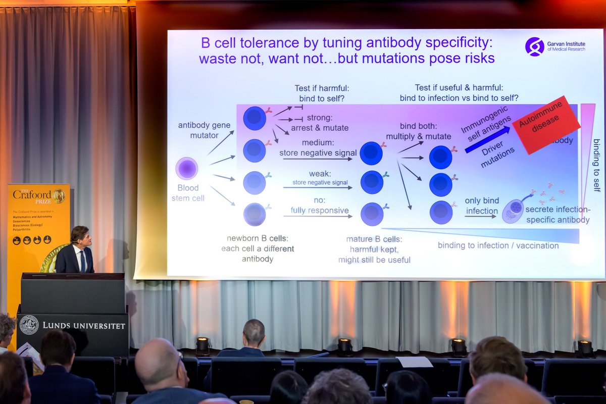 Professor Christopher Goodnow accepted the prestigious Crafoord Prize and met the Swedish Royal Family following his lecture at the Royal Swedish Academy of Sciences ceremony. 

Photograph: Patrik Lundin and Kennet Rouna