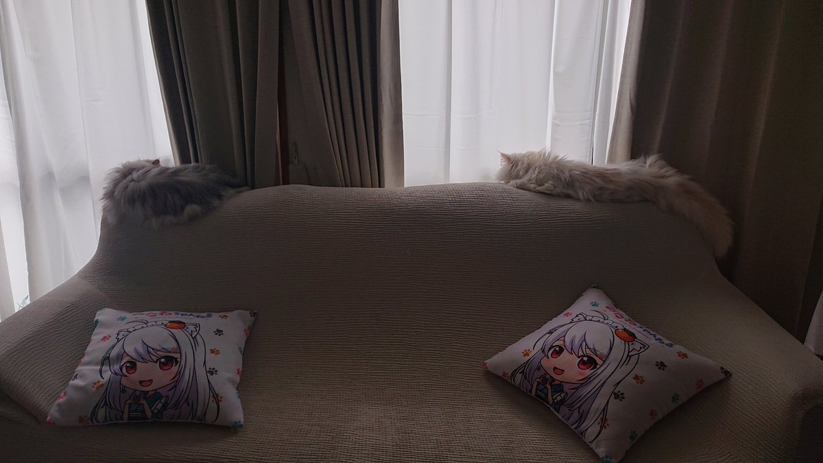 kochangokigen's tweet image. 本日もありがとうございました。
撮影はとれ高が足らないみたいで別日に追加の撮影有り、お客さんが居る時や、トークイベント会場にも来るかも？
#おたねちゃん
#LeLien
#ゲストハウス
#湯梨浜町
#猫と遊べる所