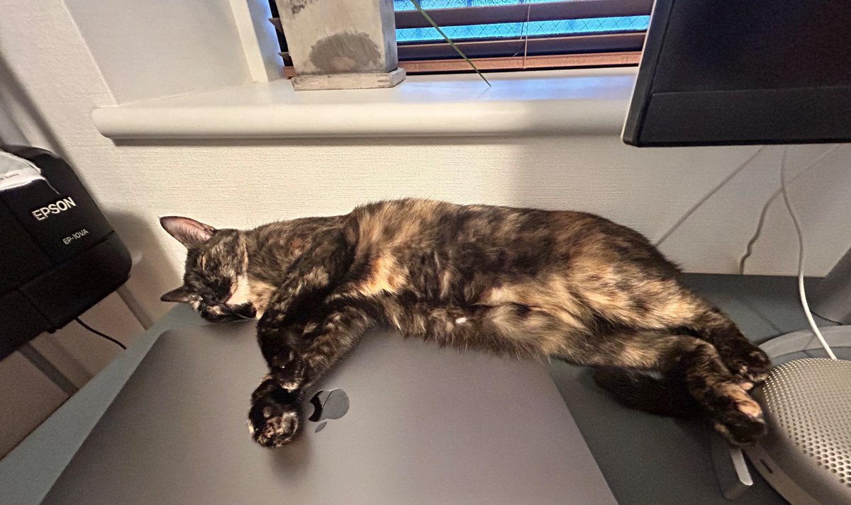 働く→PCが熱くなる→猫が喜ぶ