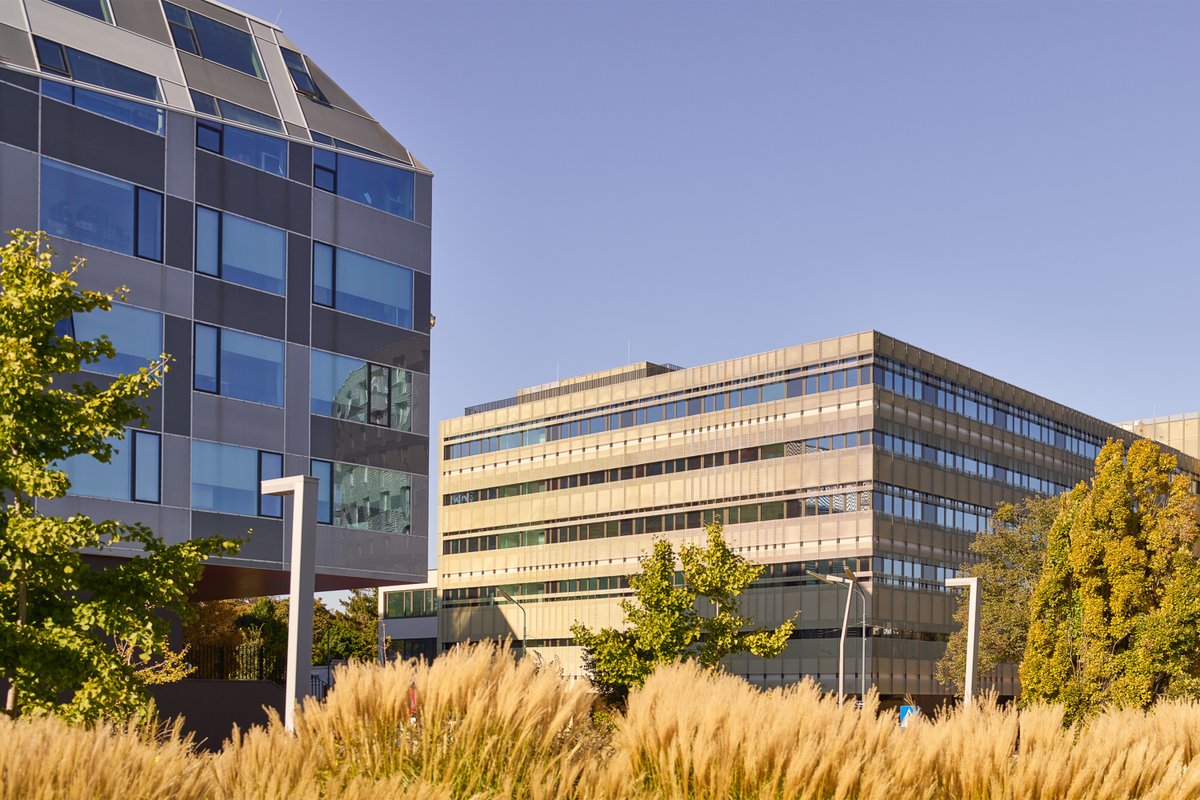 Sigmund Freud PrivatUniversität Wien tweet media