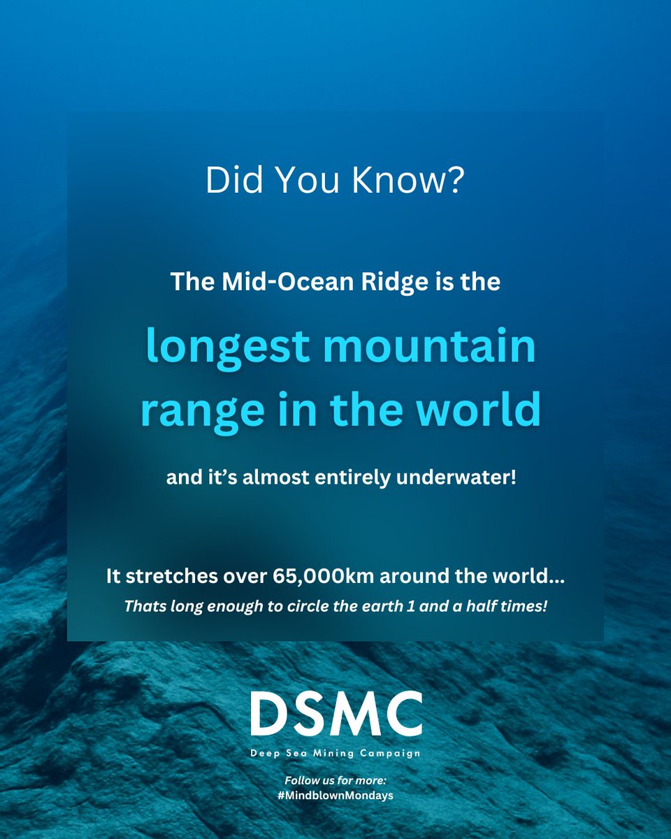 🌎 Mindblown Monday!
The Mid-Ocean Ridge is the longest mountain range on Earth and 90% of it is beneath the waves.

The deep sea deserves protection. 🔗 Click to take action: linktr.ee/nodeepseamining
#MindblownMondays #ProtectOurOceans #DSMC #StopDSM