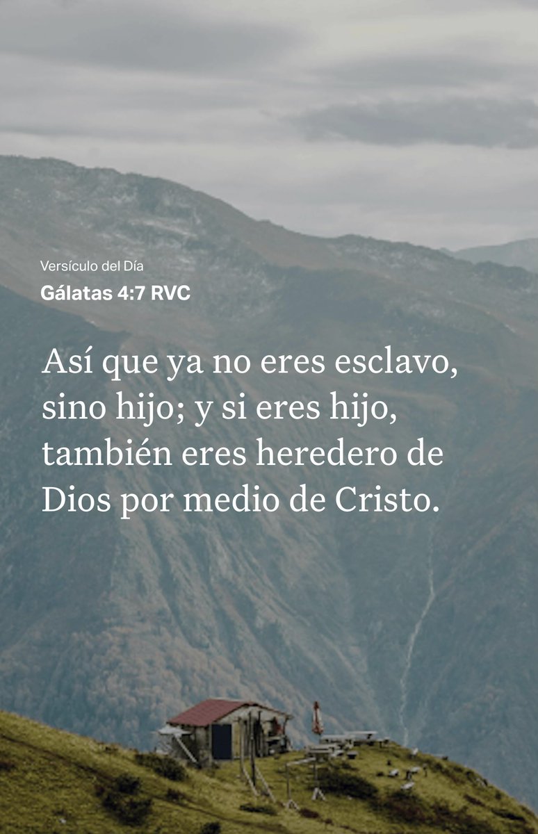 Daniel Oliva (@danieloliva01) on Twitter photo 