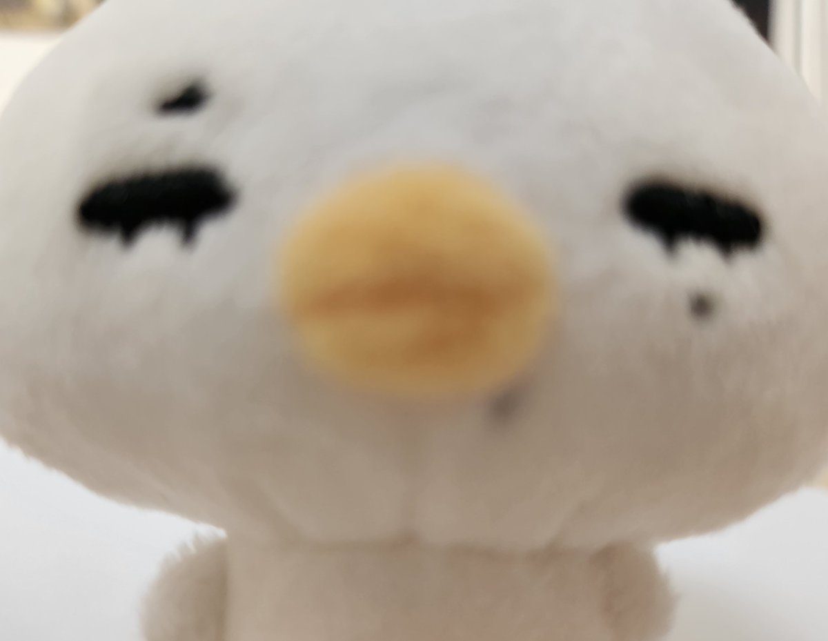 이 만두 뭐애요