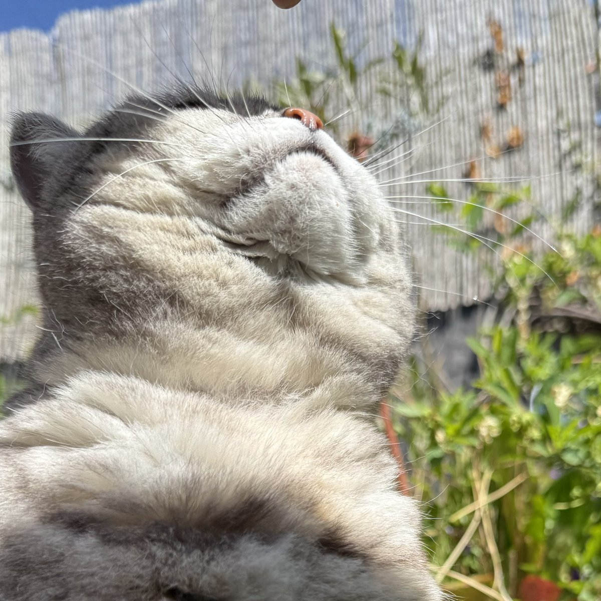 Monday, but you’re basking in that bank holiday glow.