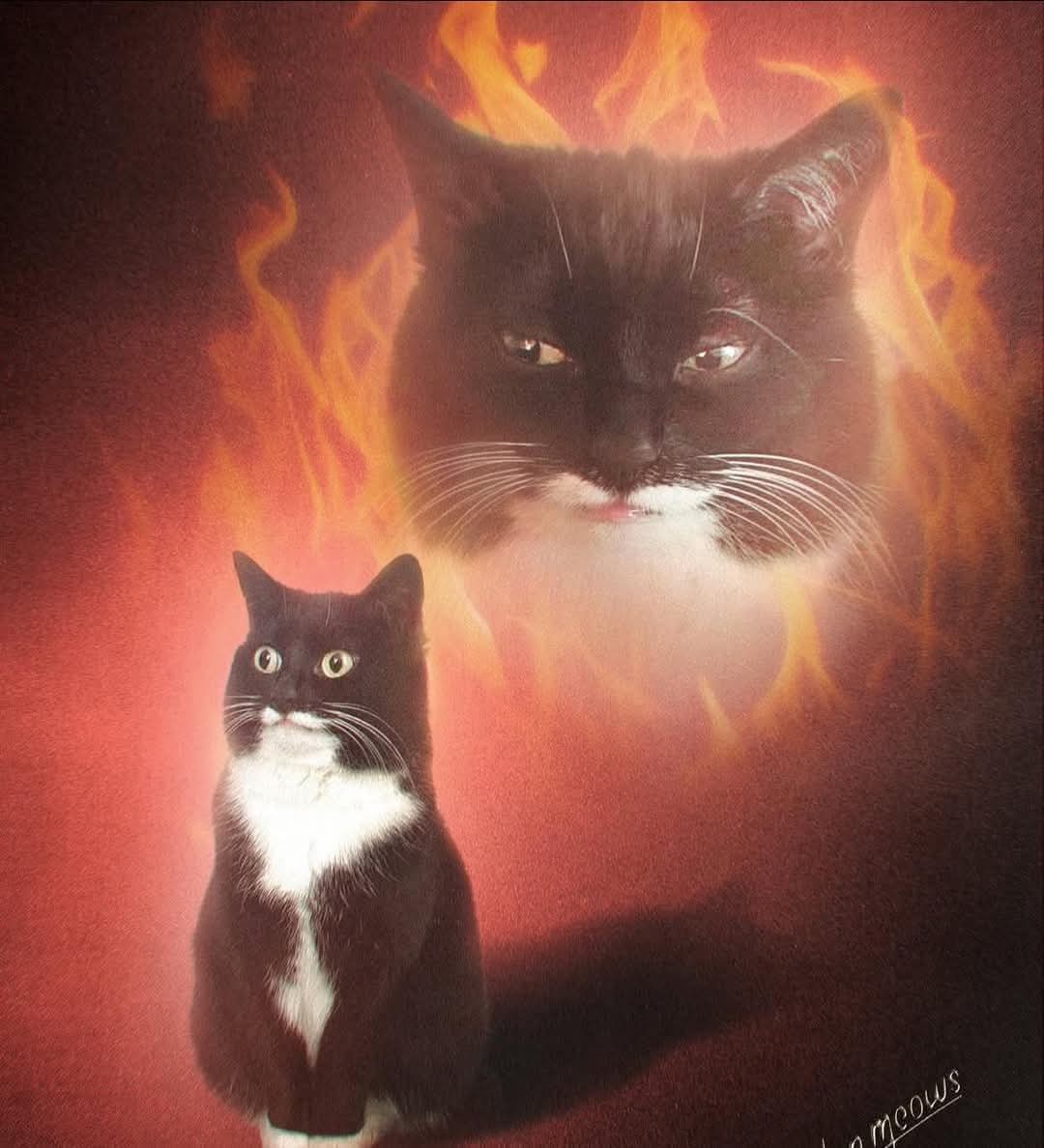 Voy a hacer directo para jugar (se pone a criticar e insultar)