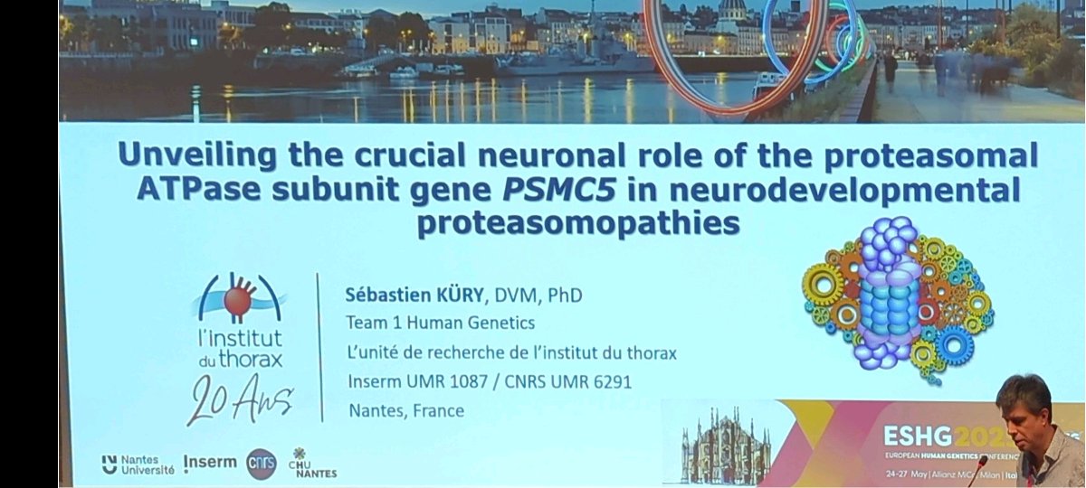 Sébastien Küry #ESHG2025

Unveiling the crucial neuronal role of the proteasomal ATPase subunit gene PSMC5 in neurodevelopmental proteasomopathies