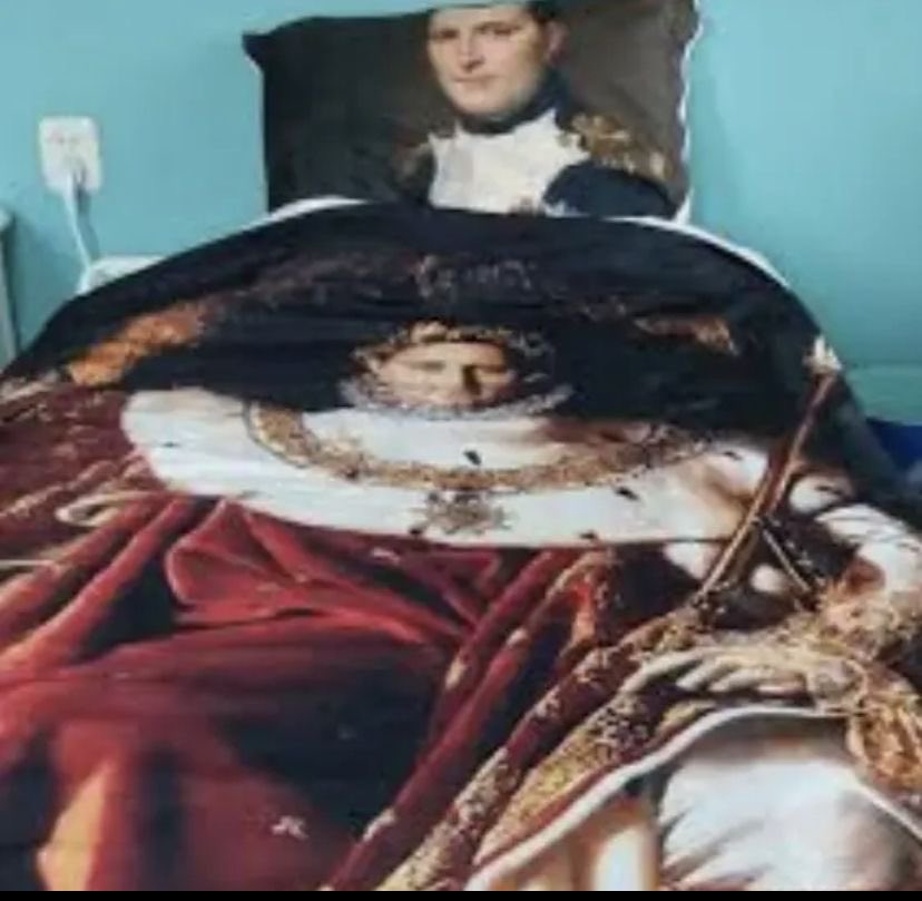 zerocludz0's tweet image. hi…. #napoleonicwars #napoleonbonaparte #fyp