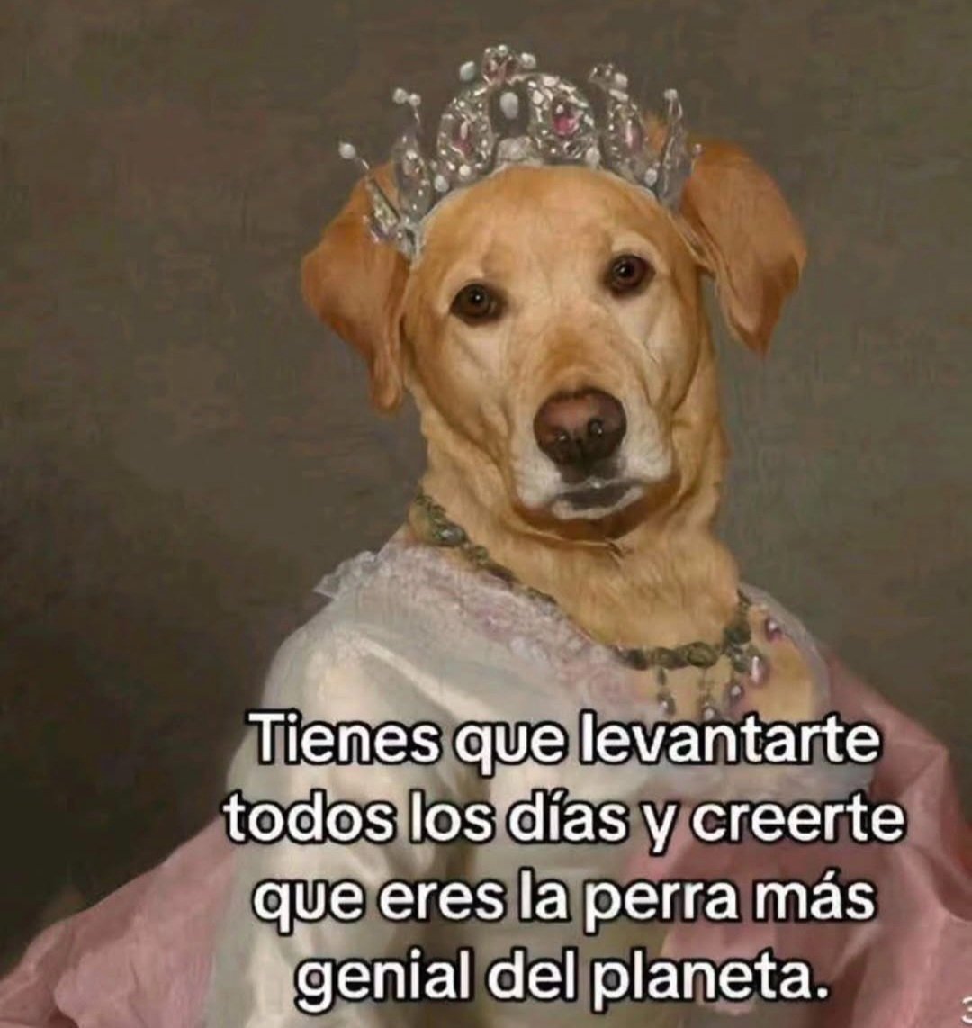 Yo todos los dias dándome ánimos