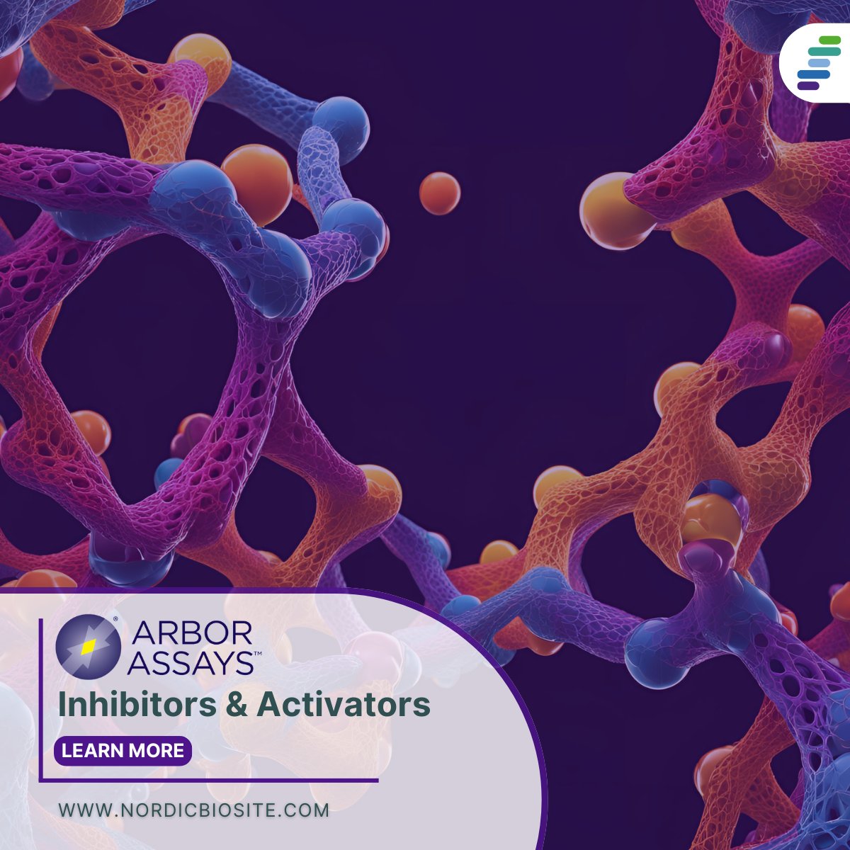 NordicBioSite's tweet image. Inhibitors and activators are essential tools in biomedical research, offering precise control over biological pathways. 🧬🔬
Explore their role in cancer research, drug development, and disease modeling. 
Read more: hubs.la/Q03b4ZnH0
 #Inhibitors #Activators #ArborAssays
