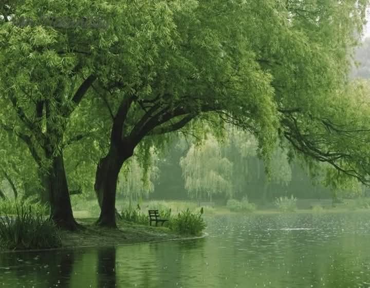 ᴏᴅᴇᴛᴛᴇ 🦢 (little rest) tweet media