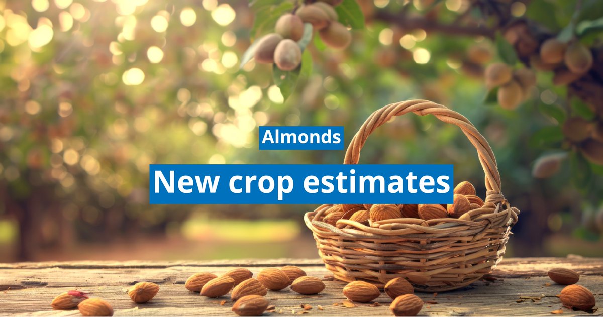 MundusAgri's tweet photo. 🥳 #Exports continued strong for #almonds in #Spain in #March
🌳 #New #crop #estimates are being issued for 2025/2026
📣 #Trump sparked some #upheaval over the weekend
https://t.co/pdPFLqmISK
#MundusAgri #nutcrop #estimate https://t.co/znls8MaXhu