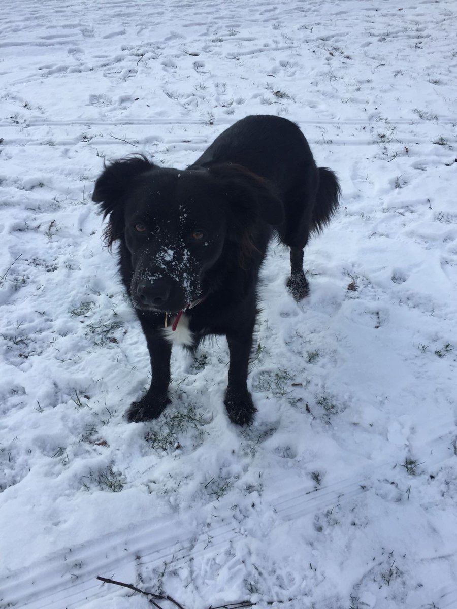 Andrew Mckenzie tweet media