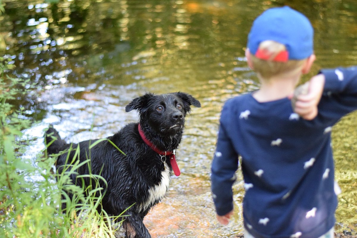 Andrew Mckenzie tweet media