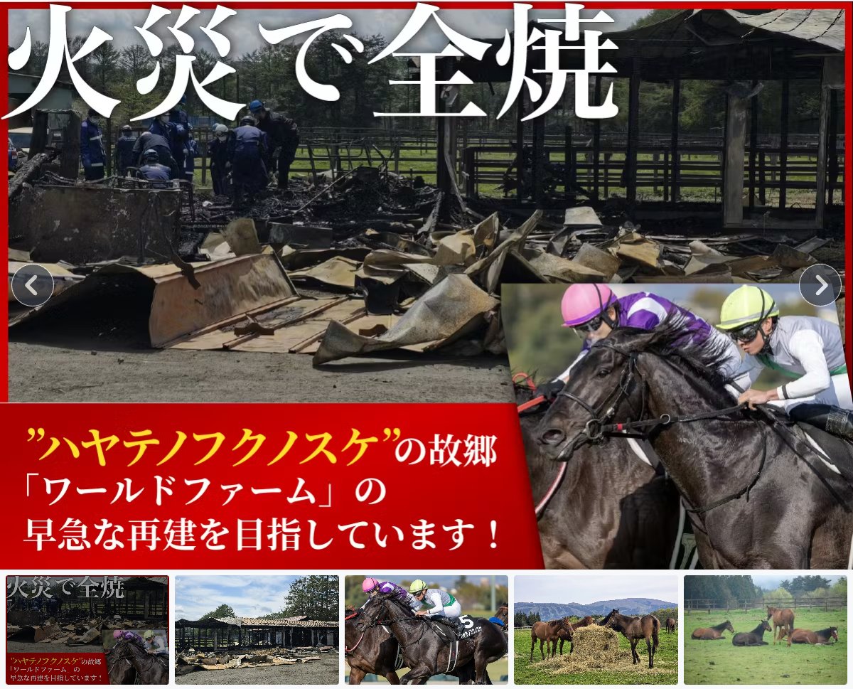 worldfarm01's tweet photo. 皆さんこんばんは🌃
【応援ありがとうございます‼️🔥】

沢山の拡散、ご登録ありがとうございます🙇
火災で厩舎2棟と事務所が全焼し、牧場の再建の為クラウドファンディングに挑戦致します！

再建費は2000万円を超える見込みです。
どうか皆様のお力をお借しください。

🎁支援者限定で、オリジナルグッズ（たてがみストラップやフォトアルバムなど）や、牧場見学などご用意しております🐴
https://t.co/OWhu5srm8V
#ワールドファーム
#牧場再建
#クラウドファンディング