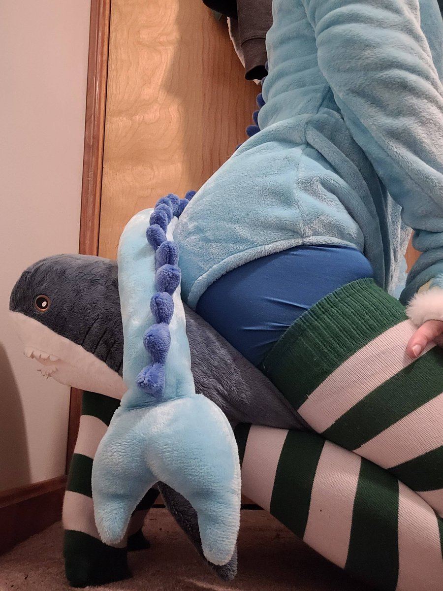 yukishy1523's tweet photo. Good morning folks, no clue whatll be done today but let's see what we can do in some star technology (Link below, also totally not trying to squish ziggy) #femboystreamer #smallstreamers #Femboy #Femboytwt https://t.co/K1S6gYqwH3