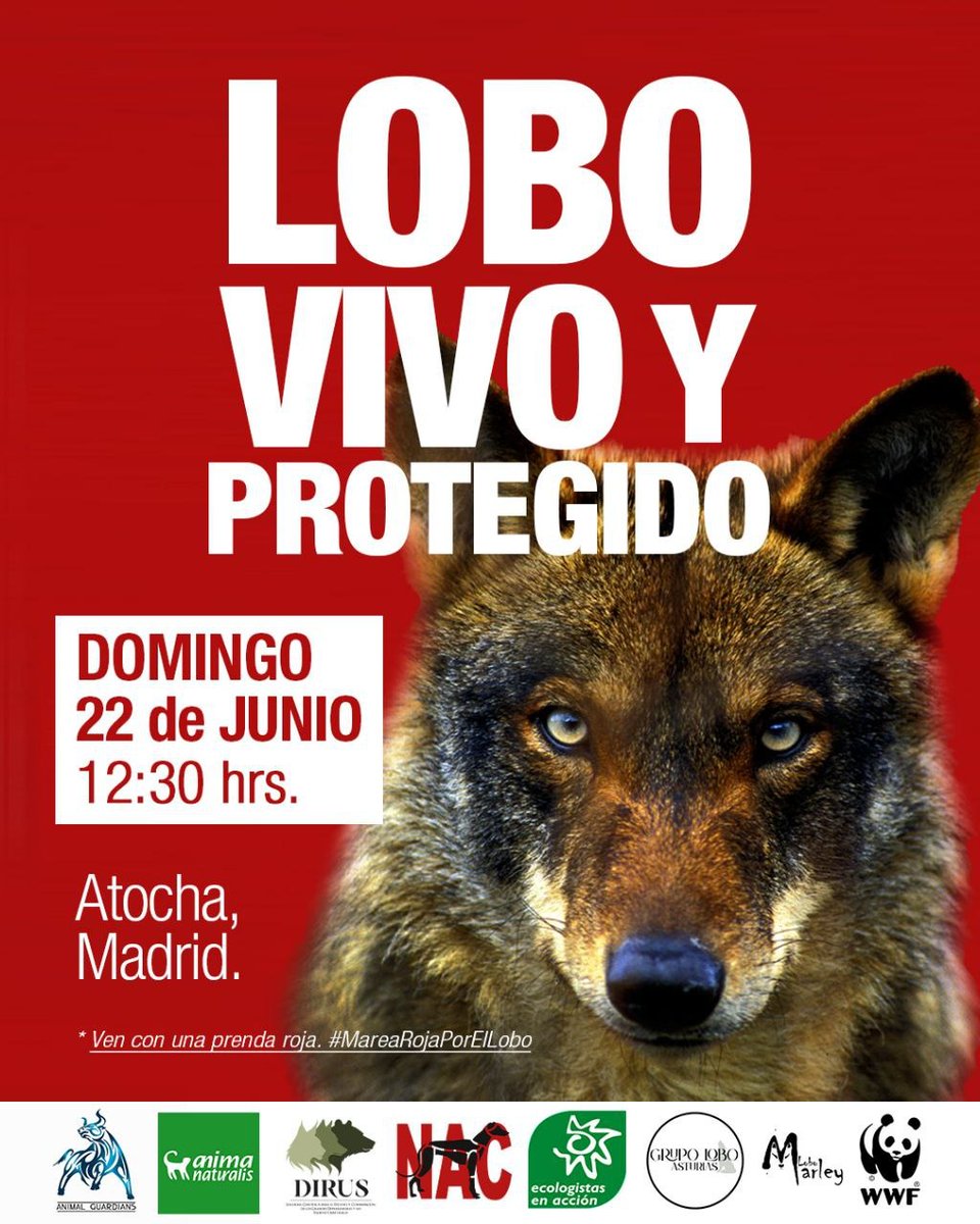silvia (@sitgessilvia) on Twitter photo 